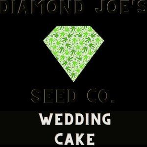 Meet your Posher, Lewis